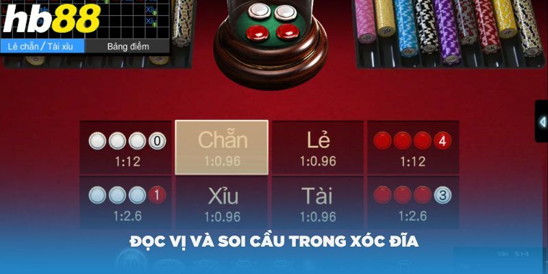 doc-vi-va-soi-cau-trong-xoc-dia