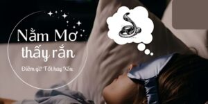 review-nam-mo-thay-ran