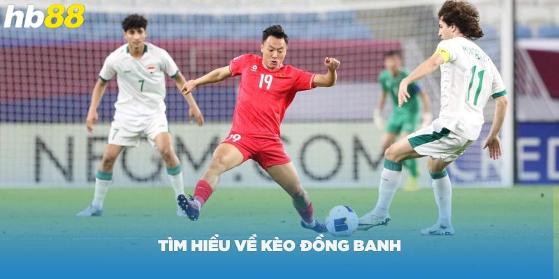 tim-hieu-ve-keo-dong-banh